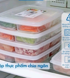 Hộp nhựa 4 ngăn đựng thực phẩm chia nhiều ngăn khay hộp trữ đông (T230) (Cái)