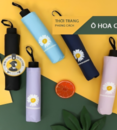 DÙ HOA CÚC, GẤU CHỐNG TIA CỰC TÍM HÀN QUỐC(dù hoa cúc) (T100)